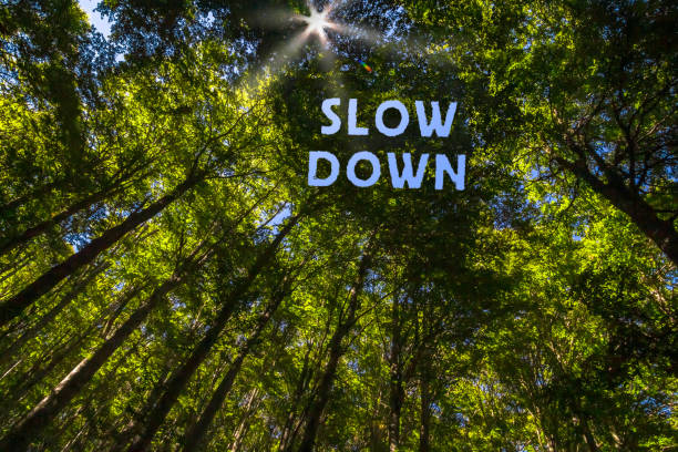 Slow Living: The Art of Doing Less