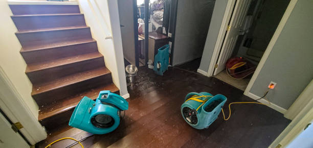 water damage restoration services